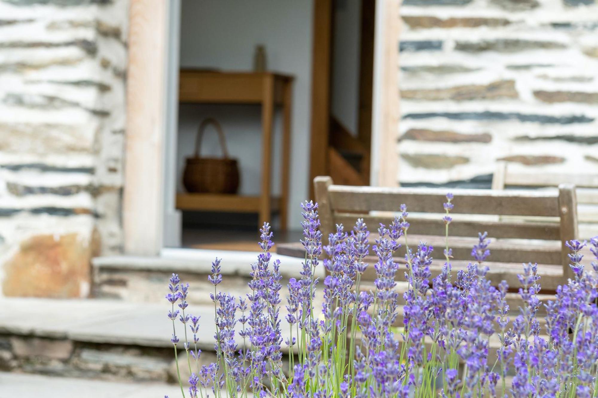 Cefn Ceiriog Villa Llangollen Phòng bức ảnh